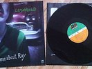 Lemonheads - Its a shame about Ray (1992) Vinyl LP, Atlantic Rec., Evan Dando