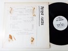 PETER IVERS Band - USA 1st original 1974 WL TEST Press Vinyl LP 