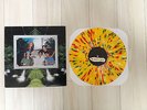 HOFX / WE AIN'T SHIT splatter vinyl 12