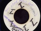New Establishment - Rock Fort Rock JA BLANK 7