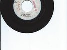 Beach Boys    Little Honda metal acetate  Rare