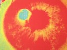 beady eye vinyl