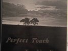 Perfect Touch - Touching You LP Vinyl RARE PRIVATE MODERN DETROIT SOUL PT-202