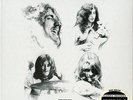 SD 83061 - Led Zeppelin - BBC Sessions 4LP Box Set - 200g Quiex SV-P - SS