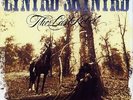 LYNYRD SKYNYRD The Last Rebel 1993 GERMANY LP SOUTHERN ROCK RARE MINT