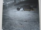 ? JOHN ZORN - NAKED CITY...ELEKTRA NONESUCH 1990 MINT-