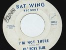 Lil' Boys Blue 45 rare garage punk 1965 BFTG 
