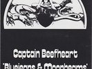 CAPTAIN BEEFHEART  RARE VIRGIN RECORDS PROMO BOOKLET BLUE JEANS MOONBEAMS 1974
