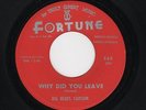 Twin Spin Detroit FORTUNE Blues BIG BLUES CARSON Why Did You Leave M- HEAR BOTH