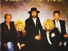 FLEETWOOD MAC little lies W8291T near mint disc uk warner 1987 12