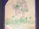 Chenaniah LP 1977 private press Christian psych rock