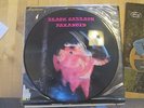 Black Sabbath Paranoid Picture Disc LP record vinyl