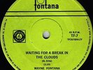 WAYNE FONTANA 
