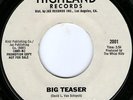 Whizz Kidds-Big Teaser - US Glam/Proto Punk-Promo Hear