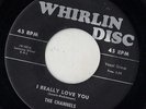 WHIRLIN DISC doo wop R&B 45  THE CHANNELS - I Really Love You + What Do You Do