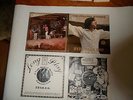 The Rolling Stones, Hyde Park 1969, 2LP,  The Swingin' Pig, WHITE VINYL