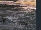 SANTANA MOONFLOWER 180GM LP VINYL NEU