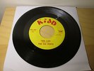 THE SIX PENTS Summer Girl / She Lied - Garage Psych Fuzz 60s