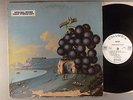 Moby Grape  Wow   Mono  White Label Promo   Psych