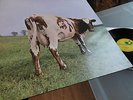 PINK FLOYD      - ATOM HEART MOTHER -   DEUTSCHE PRESSUNG IM TOP ZUSTAND