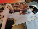 LED ZEPPELIN     - HOUSES OF THE HOLY -    MINT ARCHIVE ALBUM / TOP ZUSTAND
