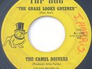 Michigan Garage Fuzz 45 - THE CAMEL DRIVERS - The Grass Looks Greener - TOP DOG