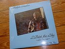 ?? ?????ADOLPHE PARILLON Paint The Sky CANADA AFRO BEAT SOUL PRIVATE SEALED LP