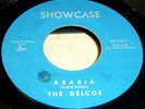 LISTEN - RARE POPCORN NORTHERN SOUL - THE DELCOS- ARABIA- MINT