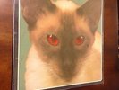 Blink 182 Cheshire Cat Vinyl Record- RARE 