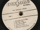 BURNING SPEAR - ORIGNAL JA SILK SCREEN COXSONE LP RARE  Studio One