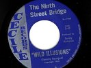 9th St. Bridge Wild Illusions/Hey Boy 1968 Houston fuzz psych monster VG++ HEAR