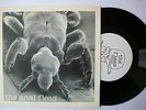 The Anal Fleas - 