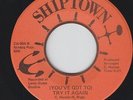 70s Soul 45 - Barbara Stant - You've Got To Try It Again - Shiptown - mp3