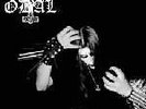 ODAL - Sturmes Brut  LP   lim. 400    NARGAROTH