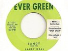 LARRY HALL 45 SANDY VG TEEN ROCKABILLY EVER GREEN 1001 RARE FIRST LABEL 1957