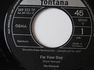 Si  THE  BLIZZARDS - I'm Your Guy