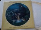 INCREDIBLE STRING BAND Hard rope.. LP 1st UK Press 74 PINK RIM Psych A1U/B1U