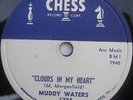 MUDDY WATERS 78 on Chess  