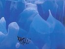 Larry Heard Ice Castles + BONUS TRACK RAR  OVP