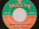 RARE Panama Salsa Dura 45 LOS ARCO IRIS Tremendo Guaguanco TAMAYO Hear mp3
