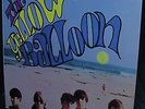 RARE 1966 ORIG =  THE YELLOW BALLOON Sunny Sound GARAGE Don Grady PERFECTION 
