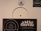JUNGLE STEPPAZ Worries In the Dance 10