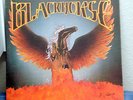 BLACKHORSE same s/t LP 1979 RARE PRIVATE TEXAS ROCK METAL JAMMER **NEAR MINT**