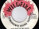 THE INDIGOS - THE REST OF MY DAYS - WILDFIRE  M-  Killer modern soul