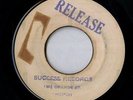 Itals / Winston Blake 