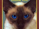 Cheshire Cat BLUE / YELLOW swirl vinyl BLINK 182 nofx dude ranch enema state