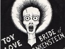 TOY LOVE-Bride of Frankenstein NZ punk KBD Chris Knox Tall Dwarfs Flying Nun