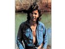 Tony Joe White - Homemade Ice Cream 200G LP REISSUE NEW ANALOGUE PRODUCTIONS