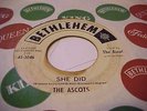 LISTEN THE ASCOTS  