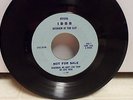 BEATLES 45 INTERVIEW TOM CLAY REMEMBER WE DON'T LIKE THEM IBBB FAN CLUB RARE 64
